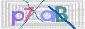 キャプチャ画像