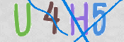 キャプチャ画像