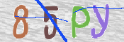キャプチャ画像