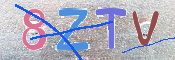 キャプチャ画像